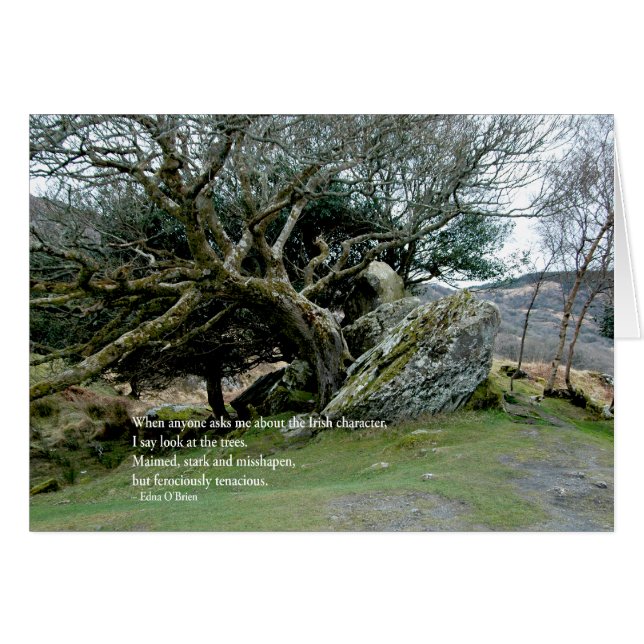 IrishTrees (Devant horizontal)