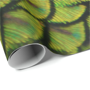 Irisierende Gelbe Pfauenfresser Schwanz Feathers Geschenkpapier