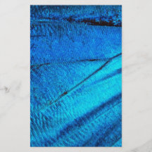 Irisierender blauer Schmetterlingsflügel