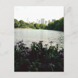 Irismmm 001 postkarte