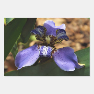 Irisverpackungspapier Geschenkpapier Set