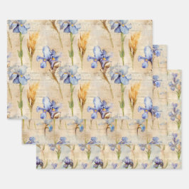 Irisverpackungspapier Geschenkpapier Set