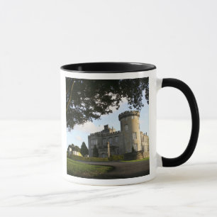 Irland, der Seiteneingang von Dromoland Castle. Tasse