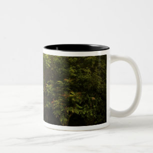 Irland, der ummauerte Garten von Dromoland Castle Zweifarbige Tasse