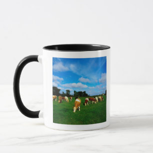 Irland, Herde des weiden lassenden Viehs Tasse