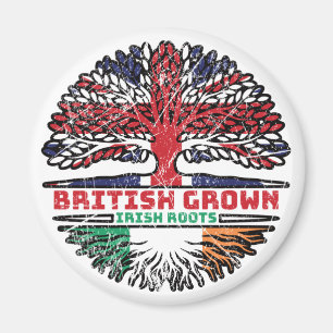 Irland Irish UK Vereinigtes Königreich British Tre Magnet