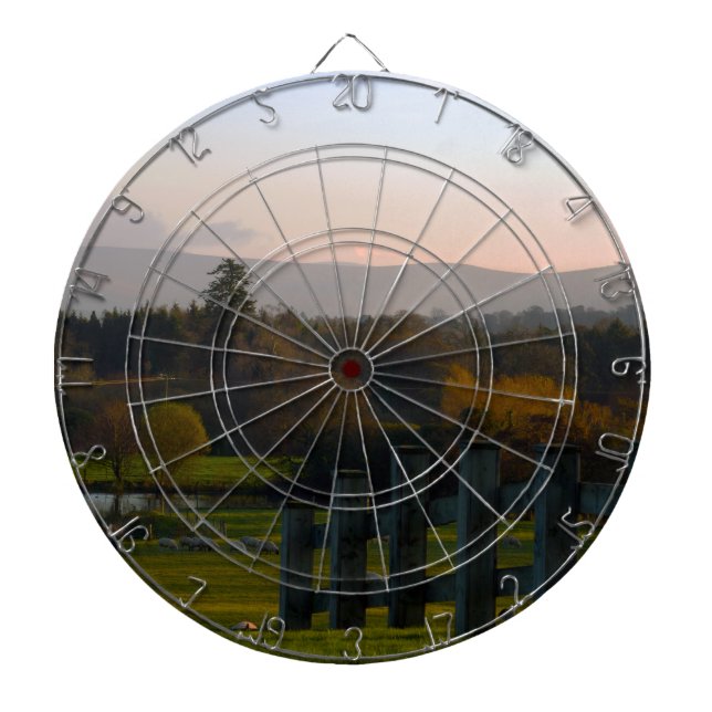 Irland ist schön dartscheibe (vorne)