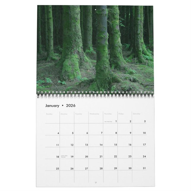 Irland Kalender (Jan 2026)