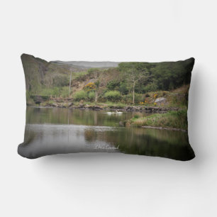Irland, Landkreis Cork, Lake, Swans, Fotografie Lendenkissen