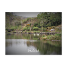 Irland, Landkreis Cork, Lake, Swans, Fotografie