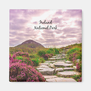 Irland Nationalpark Magnet