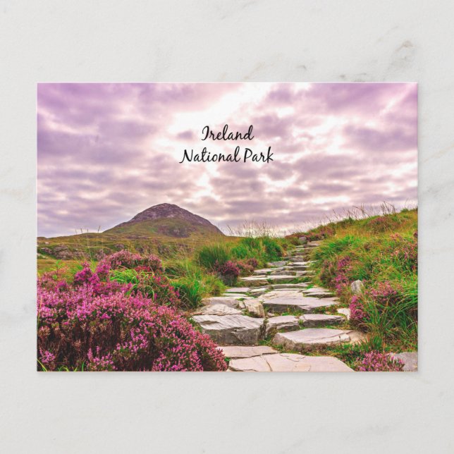 Irland Nationalpark Postkarte (Vorderseite)