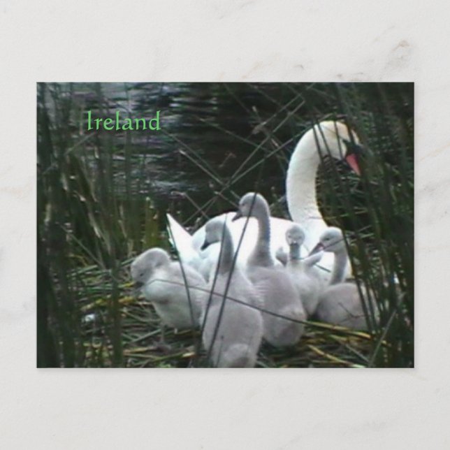 Irland Postkarte (Vorderseite)