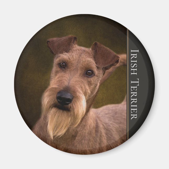 Irlandais Terrier Magnet (Devant)