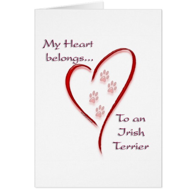 Irlande Terrier Heart Belongs (Devant)