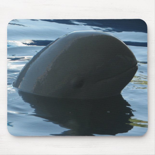 Irrawaddy Delphinpeekaboo Mousepad (Vorne)
