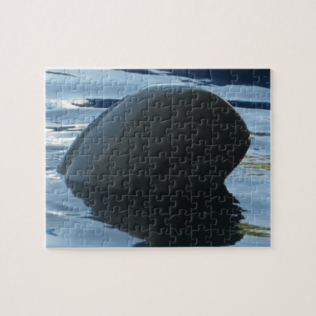 Irrawaddy Dolphin Flüchtige Blick-A-Boo (Horizontal)