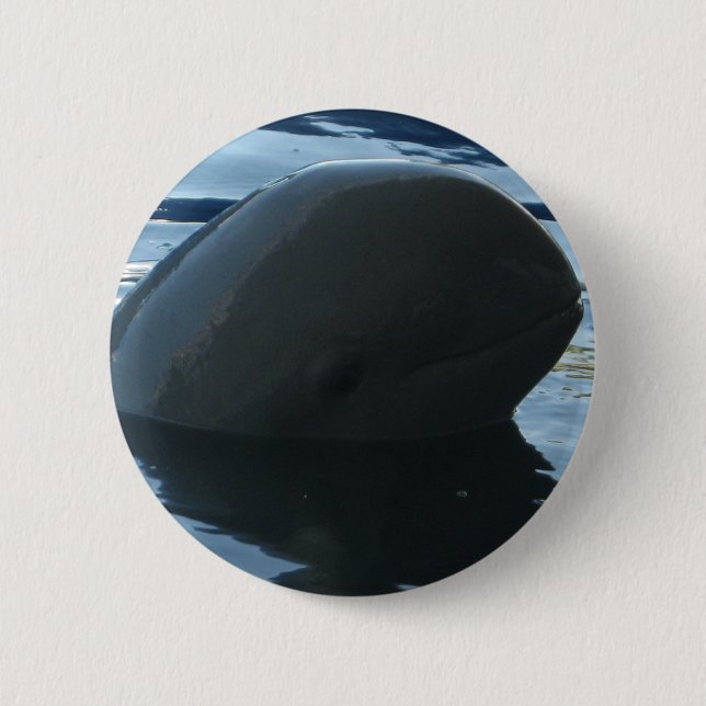 Irrawaddy Dolphin Flüchtige Blick-A-Boo Button (Vorderseite)