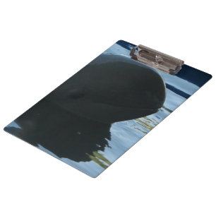 Irrawaddy Dolphin Flüchtige Blick-A-Boo Klemmbrett