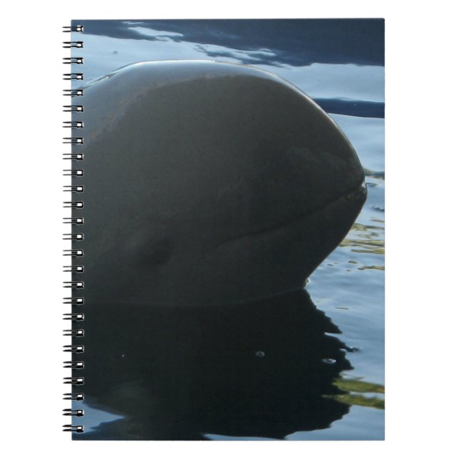 Irrawaddy Dolphin Flüchtige Blick-A-Boo Notizblock (Vorderseite)