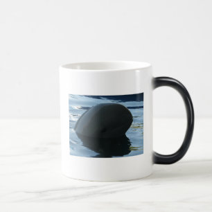 Irrawaddy Dolphin Flüchtige Blick-A-Boo Verwandlungstasse