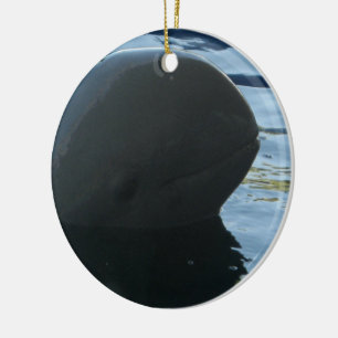 Irrawaddy Dolphin Peek-A-Boo Keramikornament