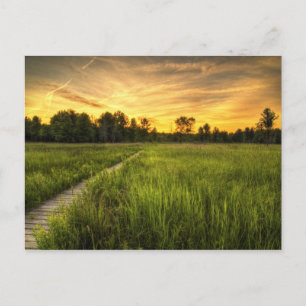 Irwin Prairie Sunset Postcard Postkarte