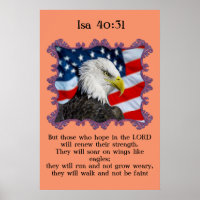 Isa40:31 Mit einem Adler vor der amerikanischen Fl