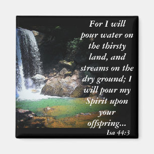 Isa 44:3 magnet
