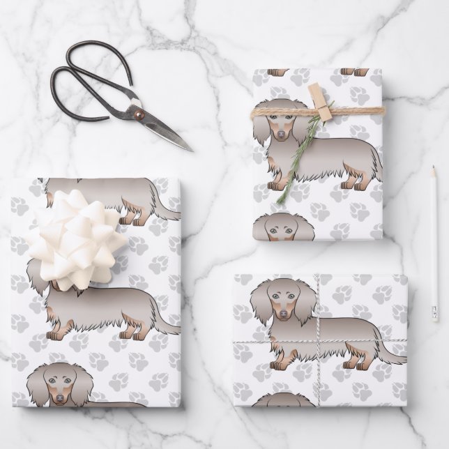 Isabella & Tan Long Hair Dackel Pattern & Paws Geschenkpapier Set (Vorderseite)