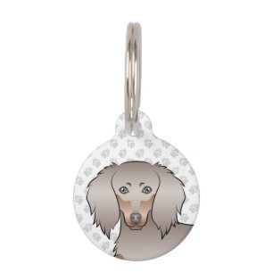 Isabella und Tan Longhair-Dachshund Süßer Hundekop Haustiermarke