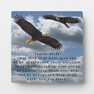 ISAIAH 40:31 FOTOPLATTE