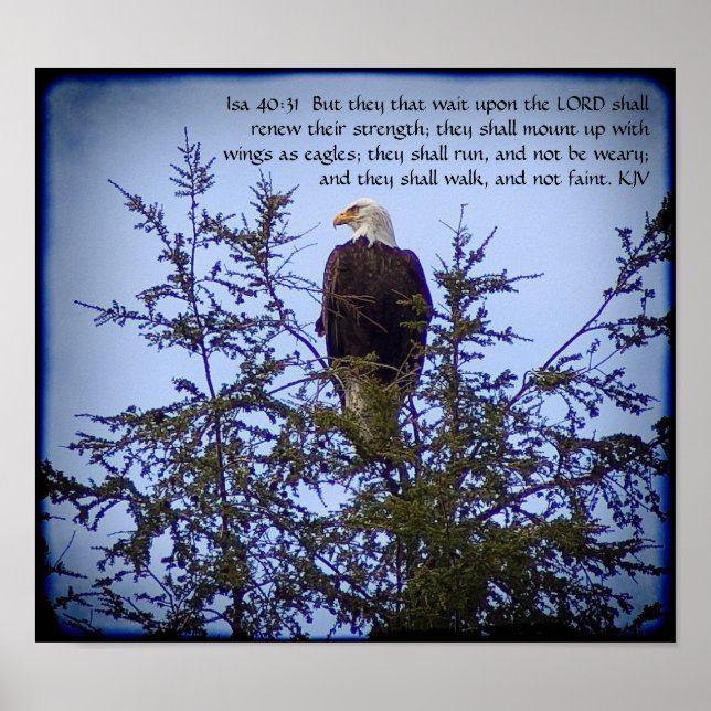 Isaiah 40:31 Poster (Vorne)