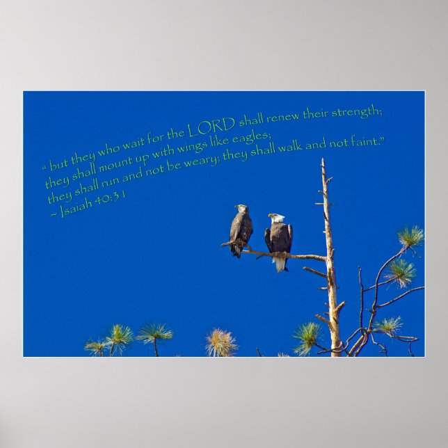 Isaiah 40:31 poster (Vorne)