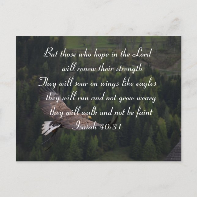 Isaiah 40:31 - Sie werden auf Flügeln wie Adler st Postkarte (Vorderseite)