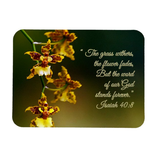 Isaiah 40:8 Inspiration Magnet (Horizontal)