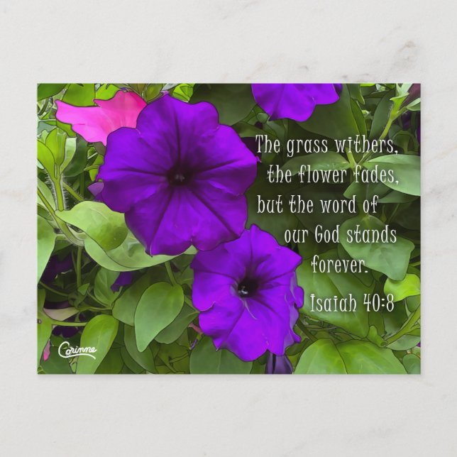Isaiah 40:8 - Postkarte (Vorderseite)