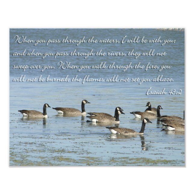 Isaiah 43:2 Bibelverse mit schwimmenden Gänsen Fotodruck (Vorne)
