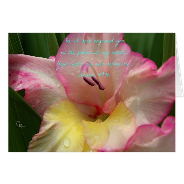 Isaiah 49:16 Pink Raindrop Gladiolus Card (Vorderseite (Horizontal))