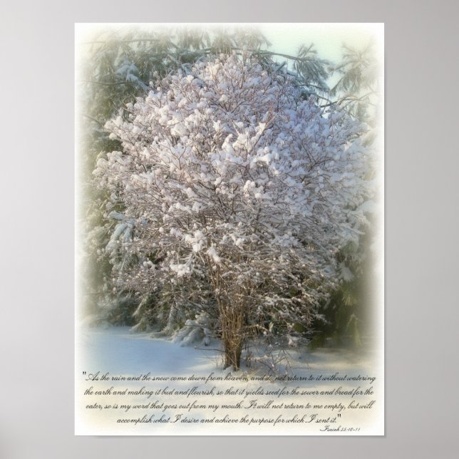 Isaiah 55:10-11 poster (Vorne)