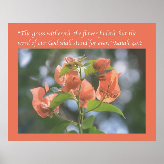Isaïe 40:8 Poster (Alabama Sunset Bougainvilliers) (Devant)