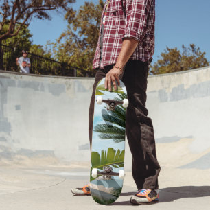 Ischia Ponte Meerespromenade Palm Serenity 1 Skateboard