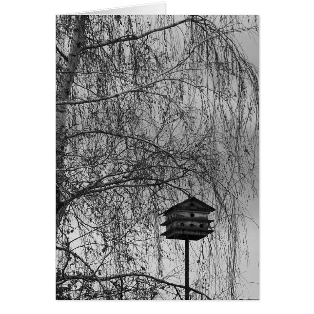 ISEE : MAISON (Devant)