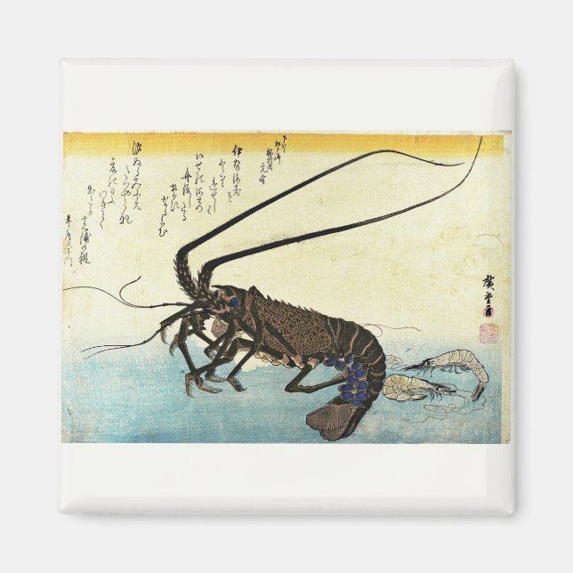 Iseebi & Ebi - Kraubfische (Spiny Lobster) und Gar Magnet (Vorne)
