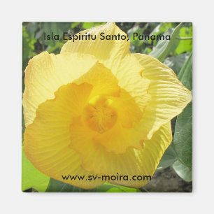 Isla Espiritu Santo, Islas las Perlas, Panama Magnet