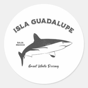Isla Guadalupe Great White Shark Diving Not leiden Runder Aufkleber