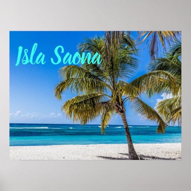 Isla Saona Beach Domenican Poster (Vorne)