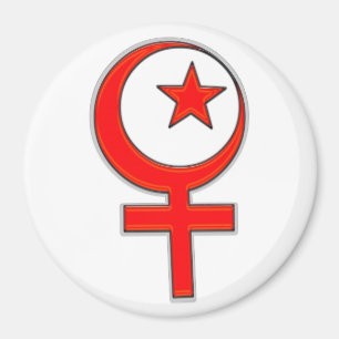 Islamischer Feminismus… Magnet