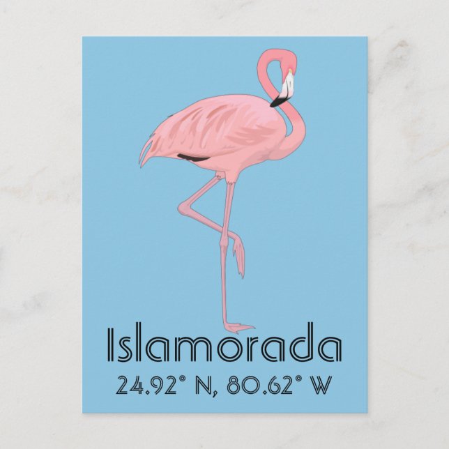 Islamorada FL Keys Flamingo Latitude Longitude Postkarte (Vorderseite)