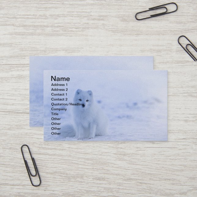 Island Arctic Fox Visitenkarte (Vorderseite/Rückseite Beispiel)